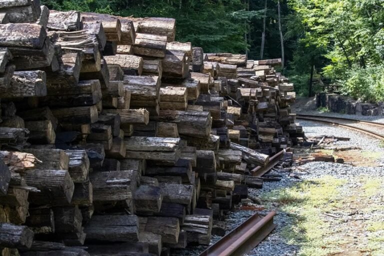 registry logs and tracking