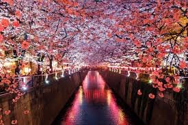 Japanese Culture: A Living Tapestry of Tradition and Innovation